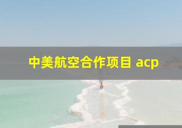 中美航空合作项目 acp